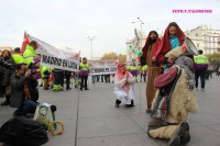 /album/fotogaleria/a1491618-242025029297764-1286739066-n-jpg/